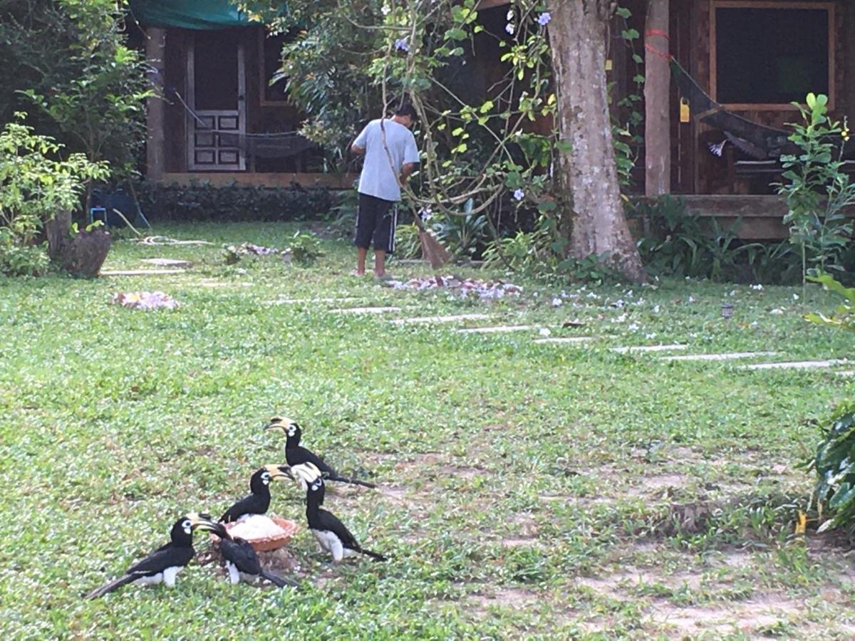 Starlight Beach Resort Koh Phayam Eksteriør bilde