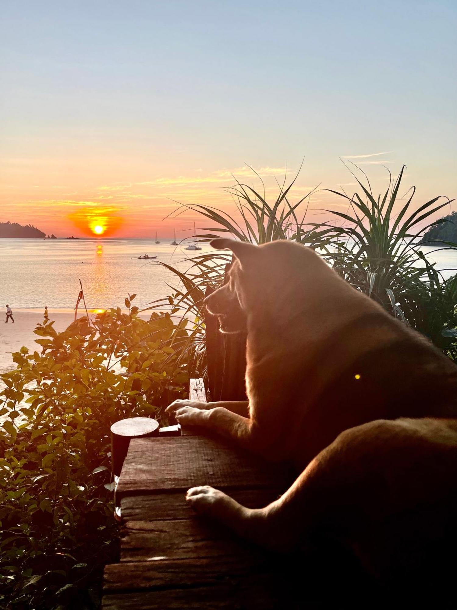 Starlight Beach Resort Koh Phayam Eksteriør bilde